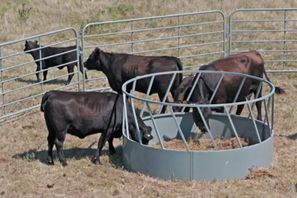 Cattle Bale Feeders